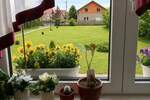 Kuća, Inđija | Prodaja · 290m² · 225.000€