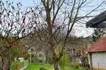 Kuća, Niš - Vele polje | Prodaja · 60m² · 29.000€