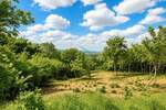 Plac, Inđija - Novi Slankamen | Prodaja · 50.000€