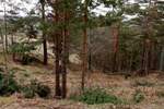 Plac, Divčibare | Prodaja · 850m² · 19.998€