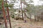 Plac, Divčibare | Prodaja · 850m² · 19.998€