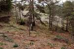 Plac, Divčibare | Prodaja · 850m² · 19.998€