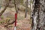 Plac, Divčibare | Prodaja · 850m² · 19.998€