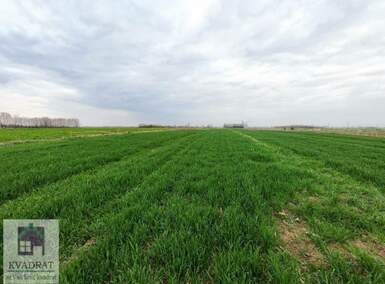 Plac, Beograd - Zvečka | Prodaja · 25.000€