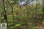 Plac, Beograd - Baljevac | Prodaja · 23.000€