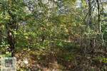 Plac, Beograd - Baljevac | Prodaja · 23.000€