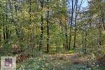 Plac, Beograd - Baljevac | Prodaja · 23.000€