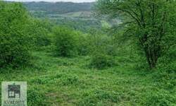 Plac, Beograd - Mala Moštanica | Prodaja · 20.000€
