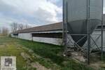 Poslovni prostor / Lokal, Beograd - Zvečka | Prodaja · 163m² · 450.000€