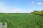Plac, Beograd - Grabovac | Prodaja · 10.000€