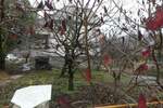 Kuća, Jagodina - Majur | Prodaja · 80m² · 30.000€