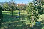 Plac, Jagodina | Prodaja · 1331m² · 21.000€