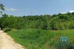 Plac, Jagodina | Prodaja · 40.600€