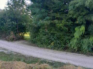 Plac, Mionica - Banja Vrujci | Prodaja · 12.000€