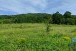 Plac, Despotovac - Resavica (varošica) | Prodaja · 65.000€