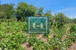 Plac, Paraćin | Prodaja · 12.000€
