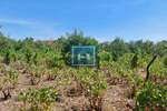 Plac, Paraćin | Prodaja · 12.000€