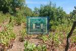 Plac, Paraćin | Prodaja · 12.000€