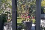 Kuća, Beograd - Dedinje | Prodaja · 550m² · 1.800.000€
