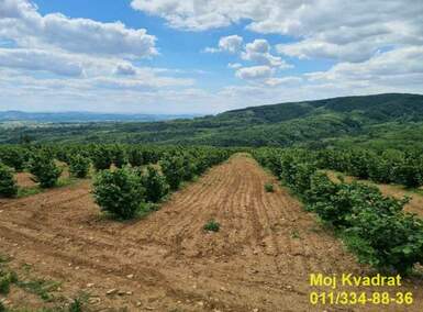 Plac, Beograd - Koraćica | Prodaja · 2.250.000€