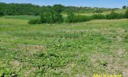 Plac, Šid - Erdevik | Prodaja · 12.000€
