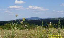 Plac, Beograd - Beljina | Prodaja · 49.000€