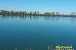 Plac, Smederevo | Prodaja · 65.000€