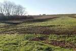 Plac, Beograd - Jakovo | Prodaja · 787.816€