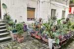 Dvoiposoban stan, Beograd - Skupština | Prodaja · 45m² · 167.000€