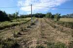 Plac, Beograd - Drlupa | Prodaja · 149.000€