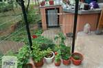 Kuća, Paraćin | Prodaja · 118m² · 67.000€