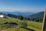 Plac, Raška | Prodaja · 4200m² · 60.000€