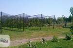Plac, Paraćin | Prodaja · 320.000€
