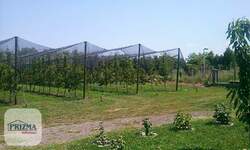 Plac, Paraćin | Prodaja · 320.000€