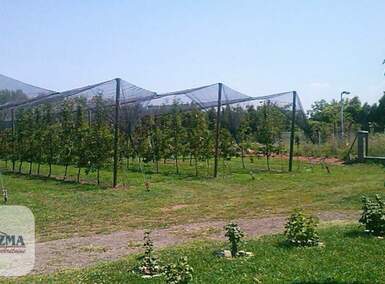 Plac, Paraćin | Prodaja · 320.000€