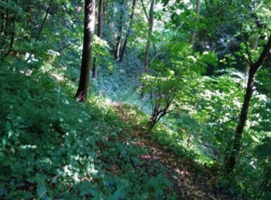 Plac, Beograd - Ralja | Prodaja · 65.000€