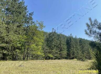 Plac, Užice - Konjska reka | Prodaja · 160.000€
