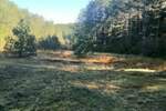 Plac, Užice - Konjska reka | Prodaja · 160.000€