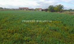 Plac, Beograd - Dobanovci | Prodaja · 581.000€