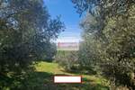 Kuća, Budva | Prodaja · 303m² · 1.000.000€