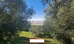 Kuća, Budva | Prodaja · 303m² · 1.000.000€