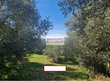 Kuća, Budva | Prodaja · 303m² · 1.000.000€