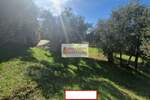 Kuća, Budva | Prodaja · 303m² · 1.000.000€