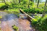 Plac, Kolašin | Prodaja · 300.000€