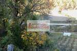Plac, Brus | Prodaja · 15.500€