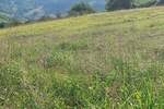 Plac, Beočin | Prodaja · 1500m² · 23.000€