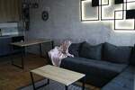 Dvosoban stan, Niš - Pantelej(Niš) | Izdavanje · 43m² · 550€