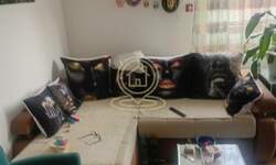 Dvoiposoban stan, Novi Sad | Izdavanje · 44m² · 350€