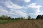 Plac, Velika Plana | Prodaja · 6300m²