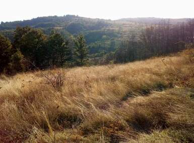 Plac, Pirot - Bazovik | Prodaja · 1500m² · 1.234€